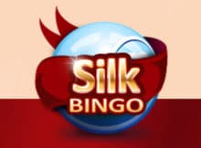 Silk Bingo Review
