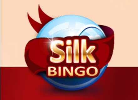 Silk Bingo Review