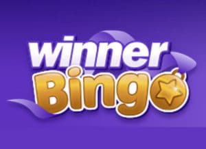 winner bingo