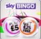 sky bingo