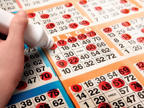 traditional-bingo