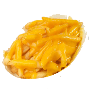 Cheeseyfries 500x500